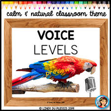 voice levels calm and natural classroom decor