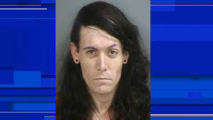 Florida man arrested after hiding live alligator in his truck, deputies say