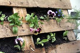 This pallet garden has a 2 for 1 option with it. How To Make A Pallet Garden Modern Farmer