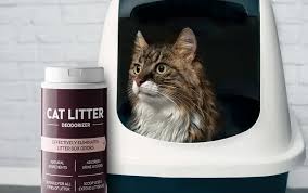 Arm & Hammer Cat Litter Deodorizer Powder — Ellington Agway