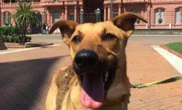 Resultado de imagen para Balcarce macri