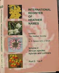 Image result for Pavetta macrosepala