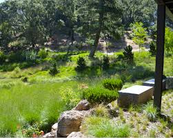 Check spelling or type a new query. Expert Advice 8 Tips For A Meadow Garden From Grass Guru John Greenlee Gardenista