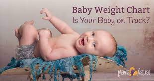 For boys, the 50th percentile would be about 14.1 pounds. Baby Weight Chart Is Your Baby On Track Mama Natural