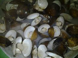 Maybe you would like to learn more about one of these? Sambal Lokan Bonde