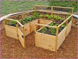 Sherry sun's veggie garden has all the usual edible suspects: Raised Vegetable Garden Beds Kits Best Home Design Ideas Gallery 3lvgqyw0je Diy Raised Garden Raised Garden Kits Raised Garden