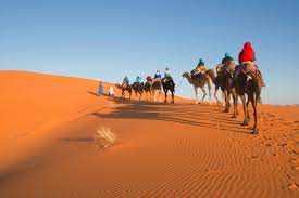Merzouga is a small village in southeastern morocco, about 35 km (22 mi) southeast of rissani, about 55 km (34 mi) from erfoud, and about 50 km (31 mi) from the algerian border. Marrakech To Merzouga Desert Safari Desert Tours Marrakech