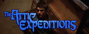 The Attic Expeditions