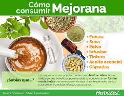 Pin En Hierbas Para La Salud