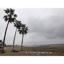 We did not find results for: Get Apefit With April Life Is Too Short To Live Without The Ocean
