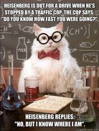 I Never Thought I D Get Through Quantum Chemistry To Tell This Joke Lol Nerdy Jokes Chemistry Cat Nerd Humor