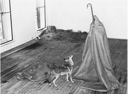 Kraftgenie has uploaded 7113 photos to flickr. Arte E Natura In Joseph Beuys L Uomo Nell Animalita La Tigre Di Carta