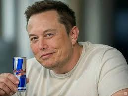 Seaview Terrace mansion in Newport Rhode Island history