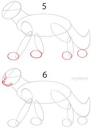 Learn how to draw anime wolf pictures using these outlines or print just for coloring. How To Draw A Cartoon Wolf Anime Step By Step Pictures