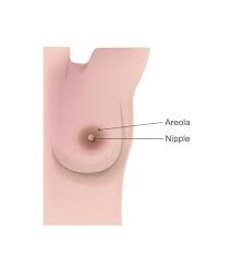 Estimates of its incidence have ranged from approximately one in 10. Is It Normal That I Don T Have A Nipple On One Side Center For Young Women S Health