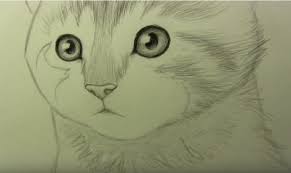 Karakalem Kedi Cizimi Nasil Yapilir Karakalem Cizimleri Karakalem Anime Cizimleri Unlu Cizimleri