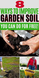 8 Simple Ways To Improve Your Garden Soil For Free Garden Soil Vegetable Garden Soil Soil