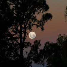 Phases of the Moon Explained: Meaning of All 8 Lunar Phases