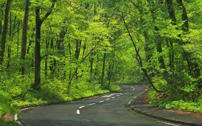 صور ومناظر حلوه الطبيعة الخلابة وجمالها الرائع صور حلوه country roads road image