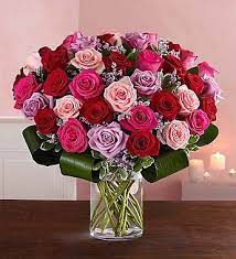 The right choice is the flower she loves the most! Dazzling Romance Rose Bouquet Let Her Know That Your Love Is Forever With Our Sensational Luxurious Arrangement We Ve G Valentines Flowers Rose Plant Gifts