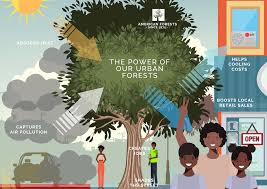 We did not find results for: Let S Commit To Tree Equity In American Cities By American Forests Medium