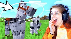 My Boyfriend Gave Me A Wedding Gift In Minecraft Surprise Ft Bookofken Youtube