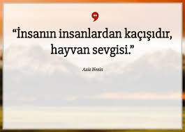 Insanin Insanlardan Kacisidir Hayvan Sevgisi E1529231230372 Hayvanlar Ile Ilgili Resimli Sozler Resimli Hayvanlar Ile Ilgili Sozl Home Decor Decals Home Decor