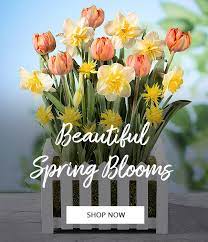 Toronto is the capital city of ontario, located in these beautiful flowers will light up her day and bring a pretty smile on her face. Toronto Florist Flower Delivery Toronto Ontario Flower Shop Flowers Of The World