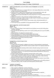 Are you currently working as an advertising account executive or want to upgrade your career into this position? Marketing Account Executive Resume Samples Velvet Jobs