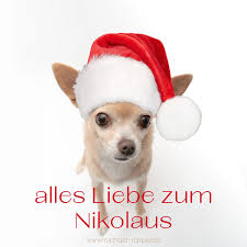 Michael Rasper fotografie