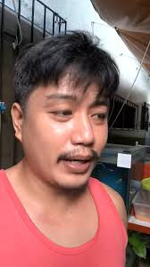 toplight kag natural light not cheap 3mb ribbon fem non ribbon male pair  only . .