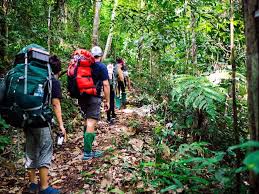 Jungle trekking & rafting : Jungle Trekking Archives New Malaysia Times
