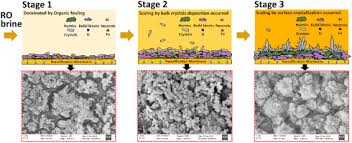 Mật ong là thực phẩm tuyệt vời cho cơ thể nhiều lợi ích cho sức khỏe. Spatial Variation Of Fouling Behavior In High Recovery Nanofiltration For Industrial Reverse Osmosis Brine Treatment Towards Zero Liquid Discharge Sciencedirect