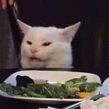 Smudge Table Cat Auf Instagram Wenn Du Mein Gesicht Ins Internet Stellen Willst Kennzeichne Mich Zumindest In 2020 Tier Memes Ausgestopftes Tier Gif Lustig Tiere