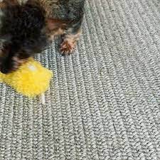 2,467 mommy toys products are offered for sale by suppliers on alibaba.com, of which stuffed & plush animal accounts for 2%, other toys & hobbies accounts for 1. Mommy Got Me A New Toy New Toys Animals Dogs