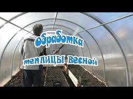 опрыскивание деревьев весной по фазам от болезней и вредителей Obrabotka Teplicy Vesnoj Ot Vreditelej I Boleznej Youtube Teplica Organicheskoe Sadovodstvo Ovoshnoj Ogorod