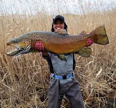 This combo is ideal for all your trout fishing needs. Fishing Trout Fishing Fly Fishing Trout Fishing Tips