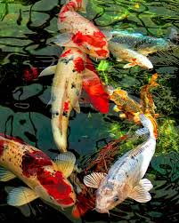Liam sergeant and jennifer tong 900 Painting Ideas In 2021 Painting Art Art Painting