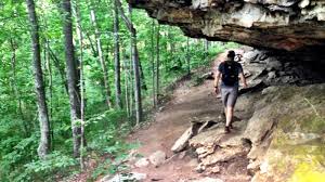 Burritt on the mountain is also a site listed on the huntsville/ madison county birding trail. Oak Bluff Trail Hiking Trail Owens Cross Roads Alabama