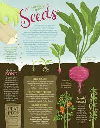 Knowing Your Seeds Infographic Seeds Gardening Infographic