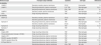 Trafficking Machinery Involved In Cytokine Secretion From