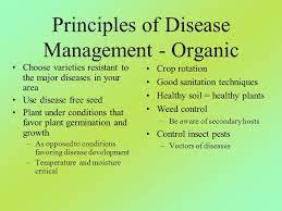 Ideally, this is achieved through the integration of all suitable control techniques in a compatible manner. Ipm Of Insect Pest Soil 404 D P Muehleisen Ppt Video Online Download