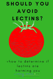 Lectins are ubiquitous in nature and are found in many foods. Should You Avoid Lectins For Better Health Mary Vance Nc