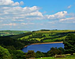 Newer post older post home. Yorkshire Water Tests 2021