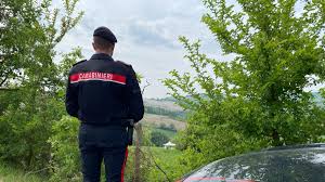 Pavia, giallo a Cecima: giovane donna trovata morta in fondo a una scarpata di 80 metri, non si esclude l'omicidio