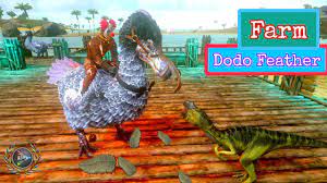 Ark survival evolved mobile ]- How To Farm Dodo Feather | Bảo Bình QN. -  YouTube