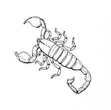 March 16, 2021 by coloring. Scorpions Coloring Pages Coloring Home