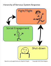 Is My Anxiety Attracting Your Depression Polyvagal Theory