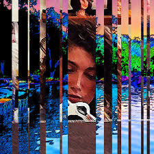 Donky Pitch (@donkypitch)