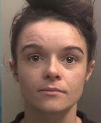 Robber burst into home as 'police' in attack which left man with lifelong  injuries